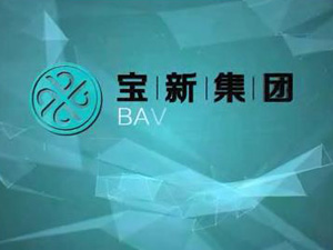 上海寶新集團(tuán)形象片！